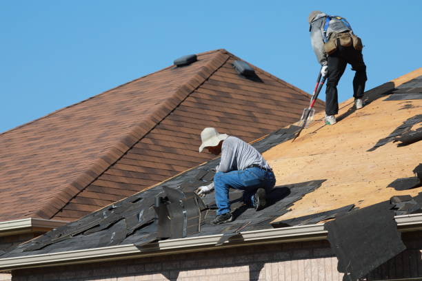Best Metal Roofing Installation  in Wade, MS